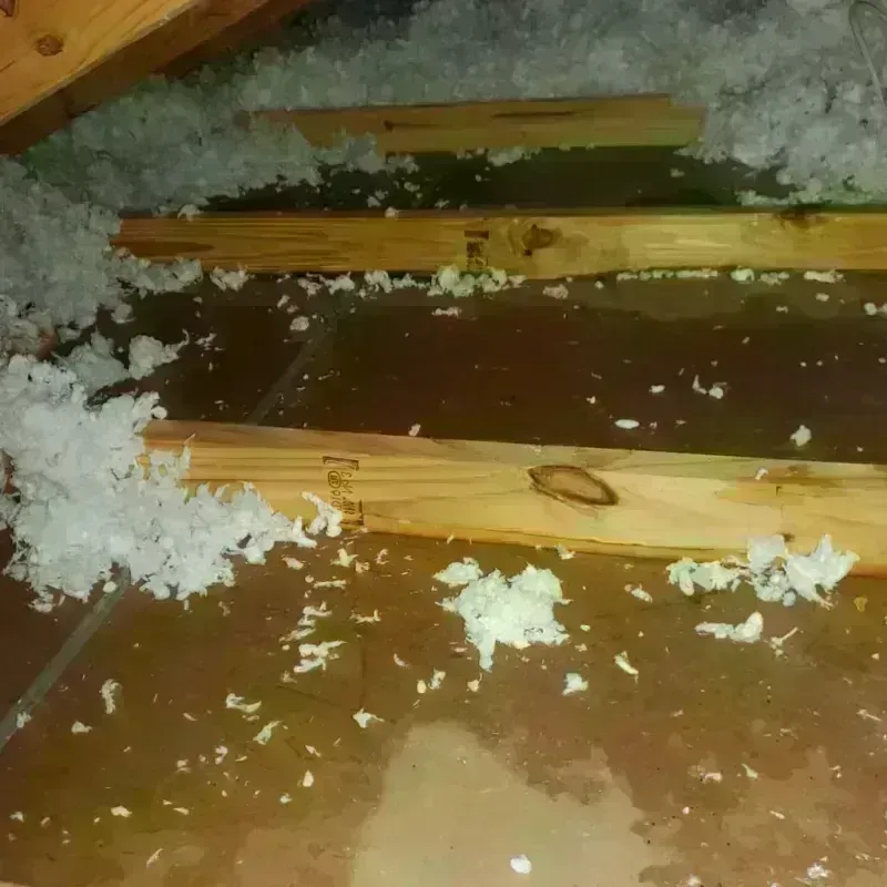 Attic Water Damage in Great Falls, SC