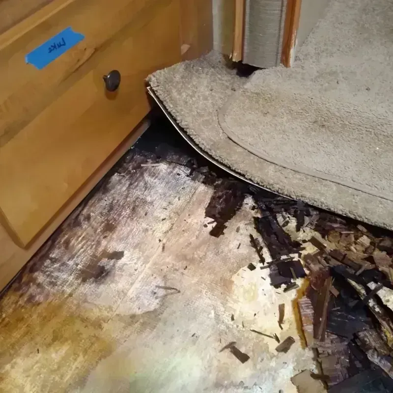 Wood Floor Water Damage in Great Falls, SC